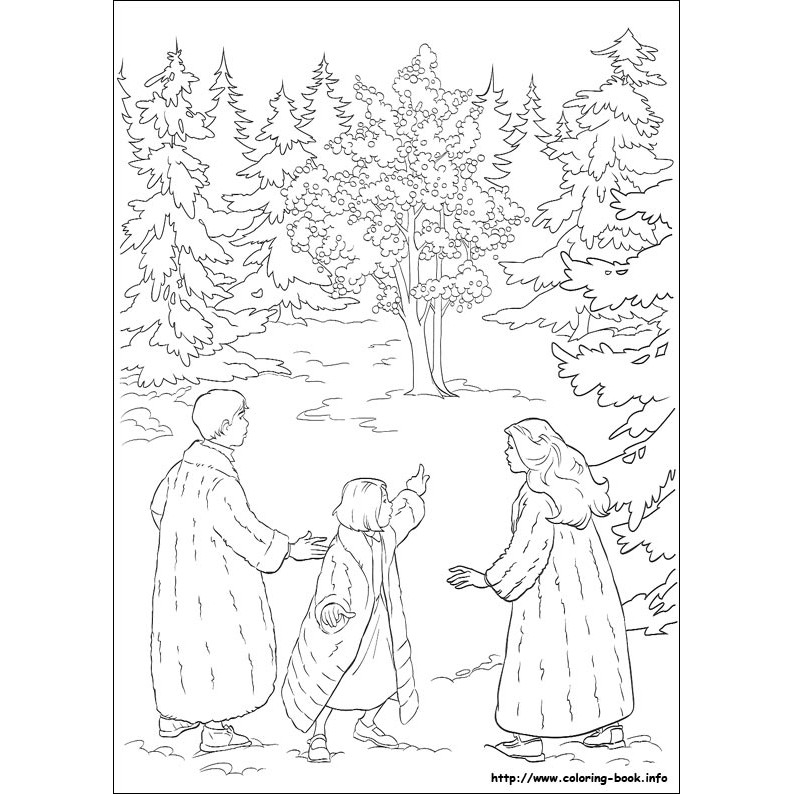 Download Cb36 Aaj Buku Mewarnai Coloring Book Import The Chronicle Of Narnia Mb Shopee Indonesia