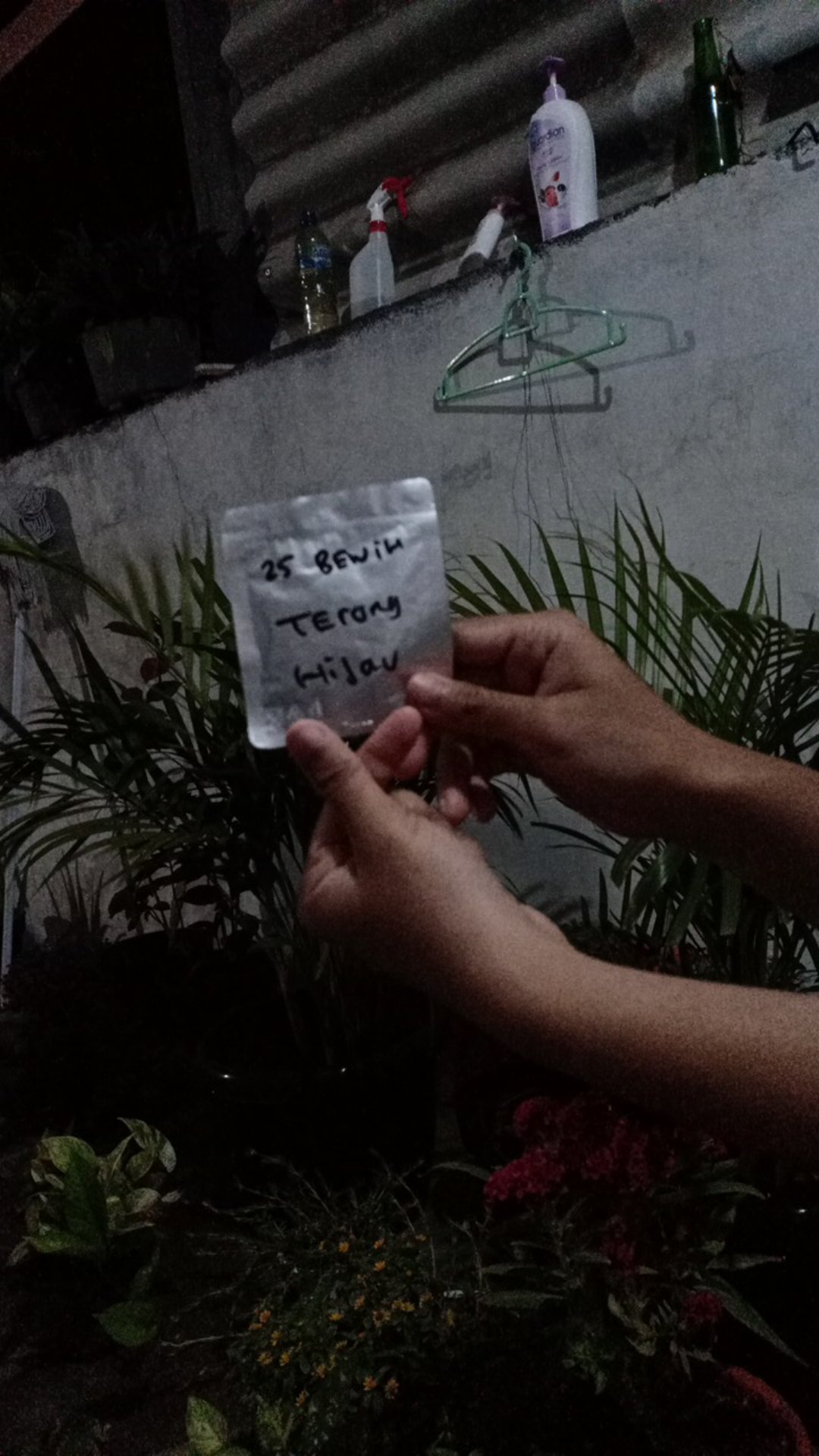 25 Benih Biji Terong Unggul Liberto