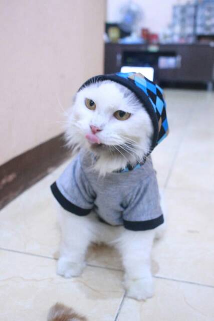 Kaos hoodie variasi kotak-kotak biru lucu untuk kucing dan anjing size S M L XL