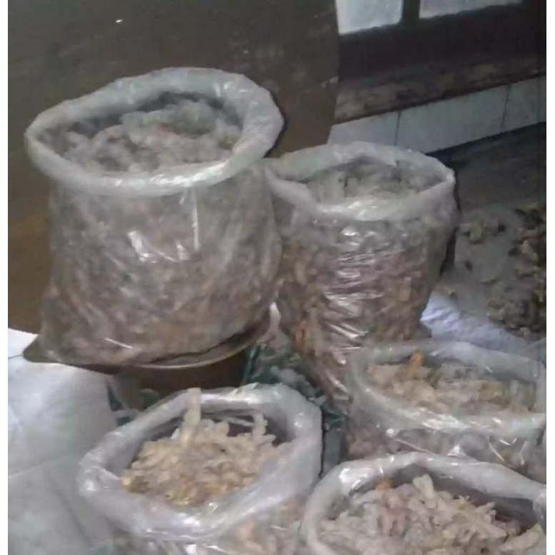 

Kunyit kemasan 5 kg