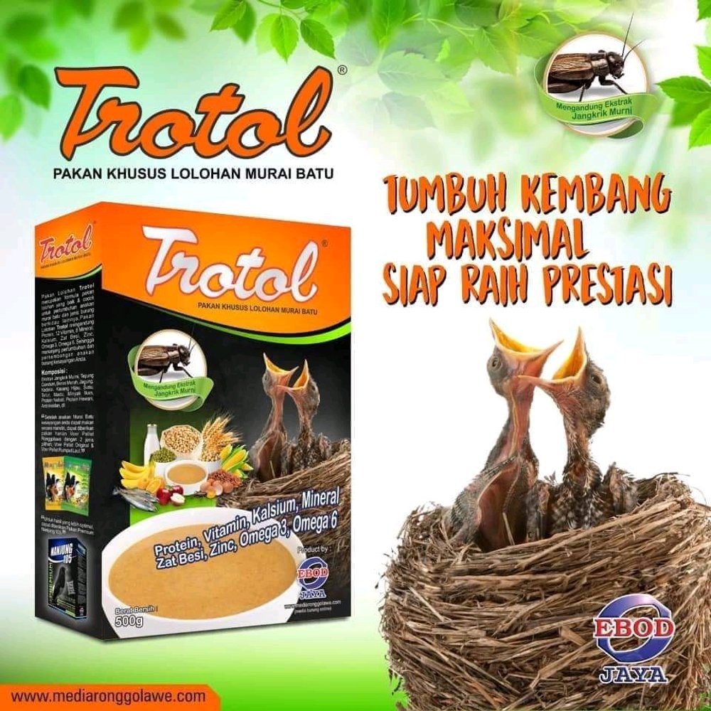 Trotol ebod jaya bubur lolohan burung murai