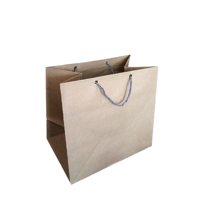 PAPER BAG SAMSON R10K/R20 22X24X21