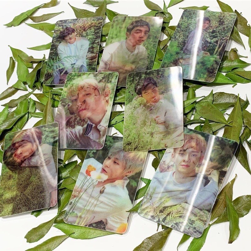 Nature Republic X EXO photocard Official