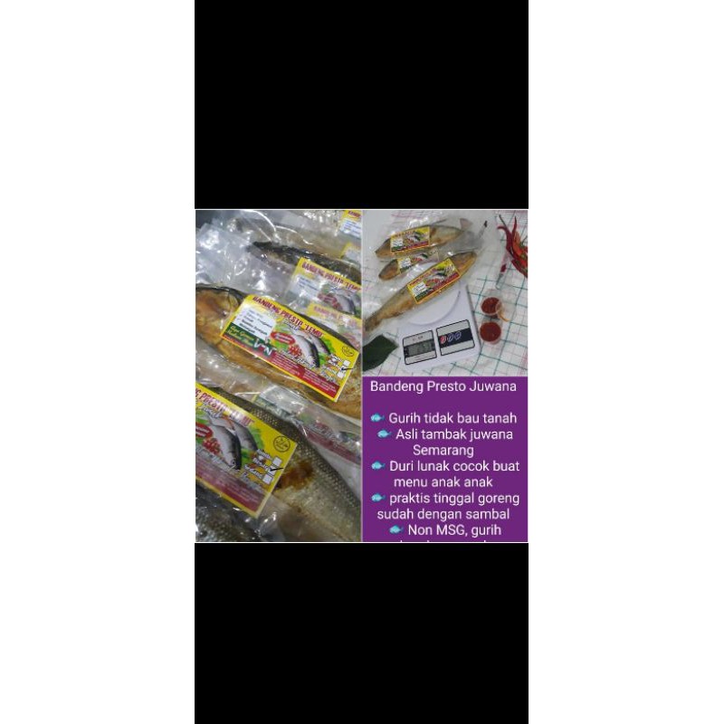 

Bandeng Presto Juwana