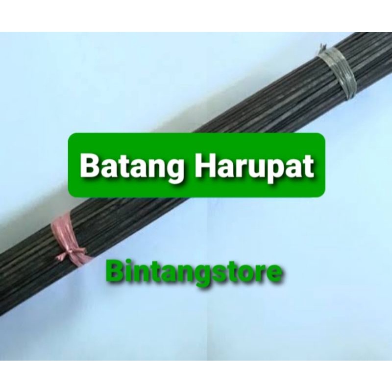 Batang harupat lidi harupat lidi aren kering asli P 40 cm isi 100 batang