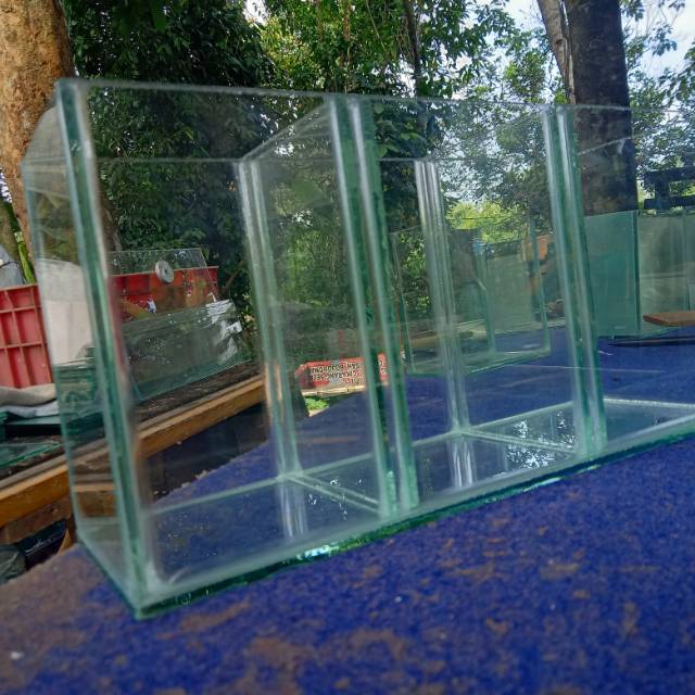 Soliter cupang soliter ikan cupang soliter sekat 3 soliter selfie aquarium cupang