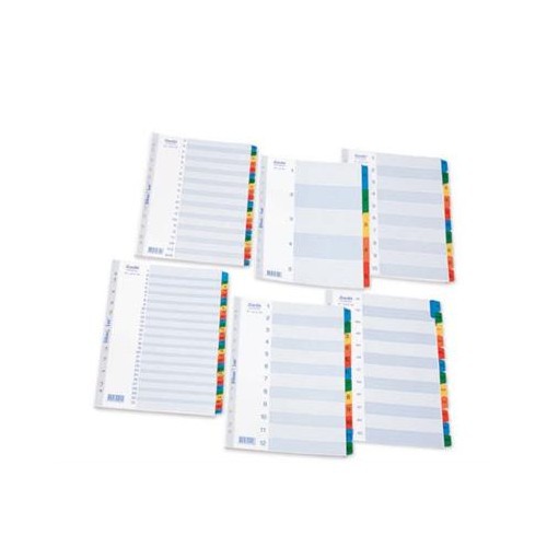 

BANTEX INDEX 6242 A4 1-31