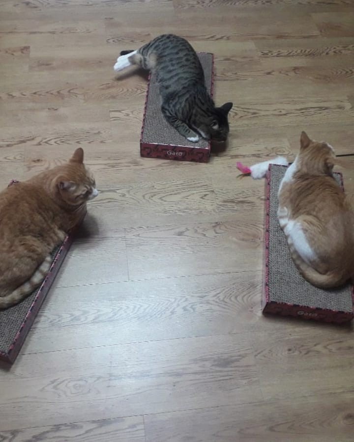 Wm>couple Melati Silfer/ Couple Keluarga/couple Batik/couple Kondangan