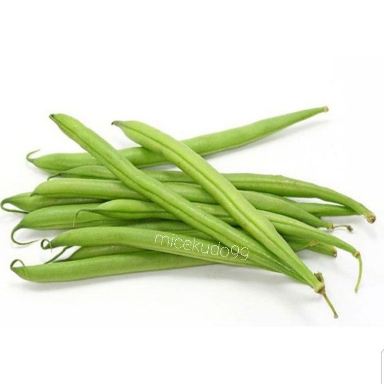 

SAYUR BUNCIS ORGANIK SEGAR 250GR / ORGANIC GREEN BEAN FRESH