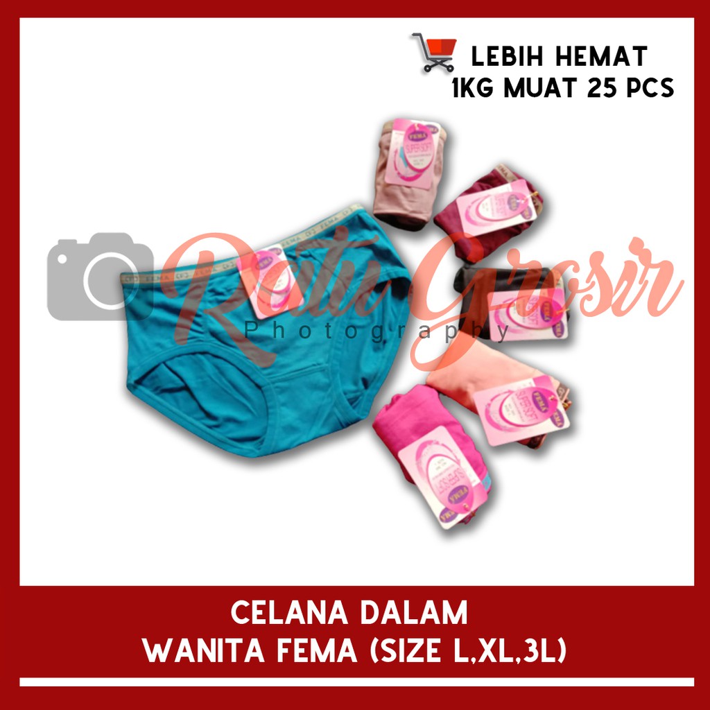 Celana Dalam CD Merk FEMA 393 Wanita Import Polos - RATUGROSIR