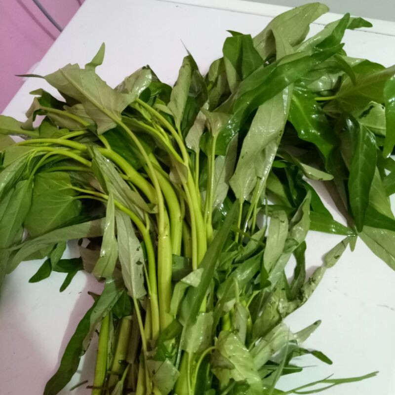 

Kangkung segar