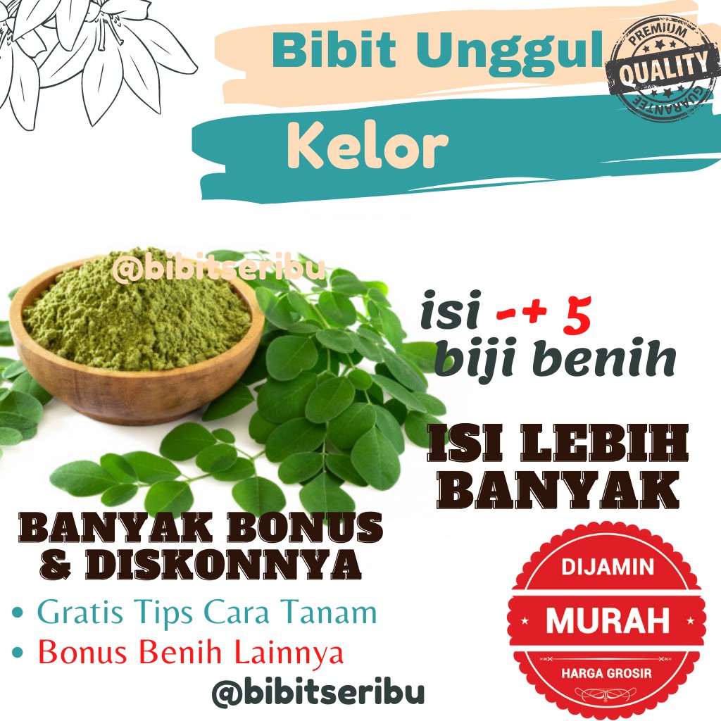 Bibit Kelor Benih Sayuran dan Buah Siap Tanam Lengkap Bisa untuk Hidroponik