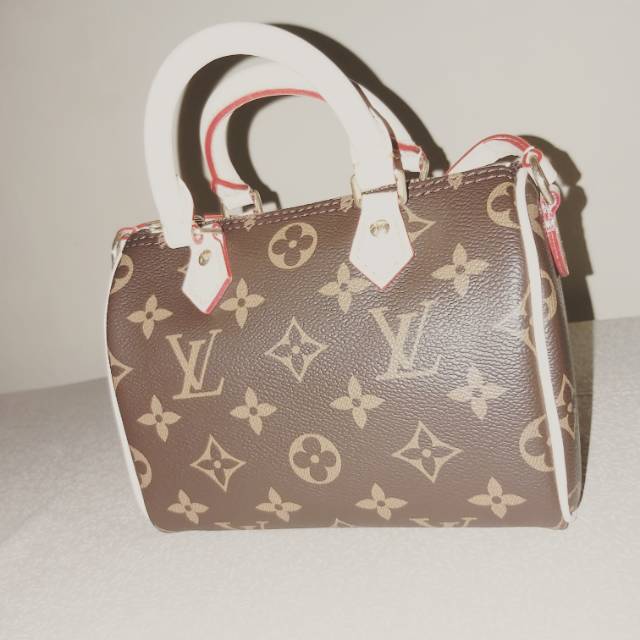 Lv mini  / nano speedy monogram