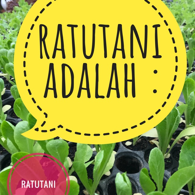 

[wajib dibaca] siapa kami