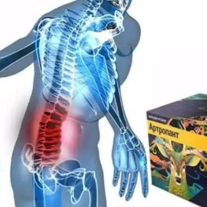 JNT COD]] ARTROPANT - Cream Antropant Asli Persendian Tulang Obat Origianal TERUJI Kode 715