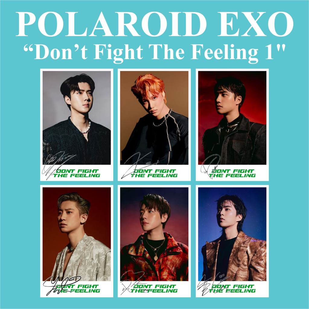 (READY STOCK) POLAROID EXO DON'T FIGHT THE FEELING SOUVENIR KPOP MURAH