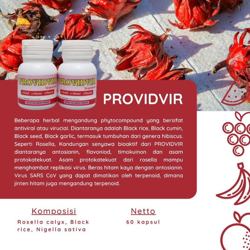 Providvir - Obat Covid 19