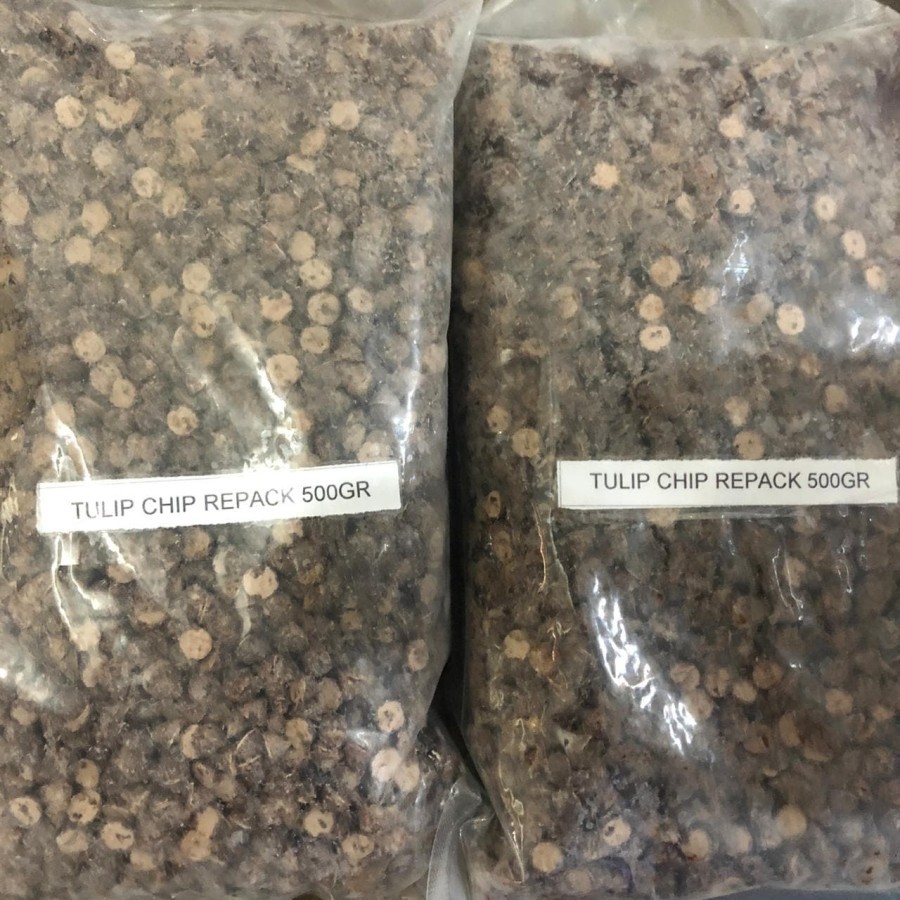

Ay00! Tulip Choco Chip - Coklat Coklat Chip Repack 500gram