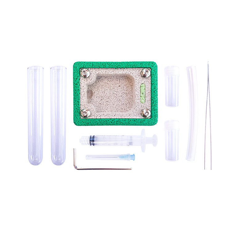 Founding Formicarium Starter Kit