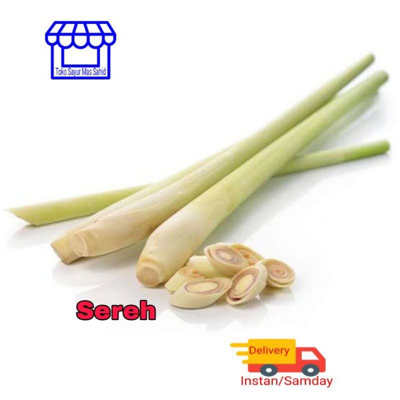 

Sereh Segar Sereh Fresh Baru Panen Kirim instan & someday