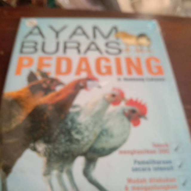 Ayam buras pedaging