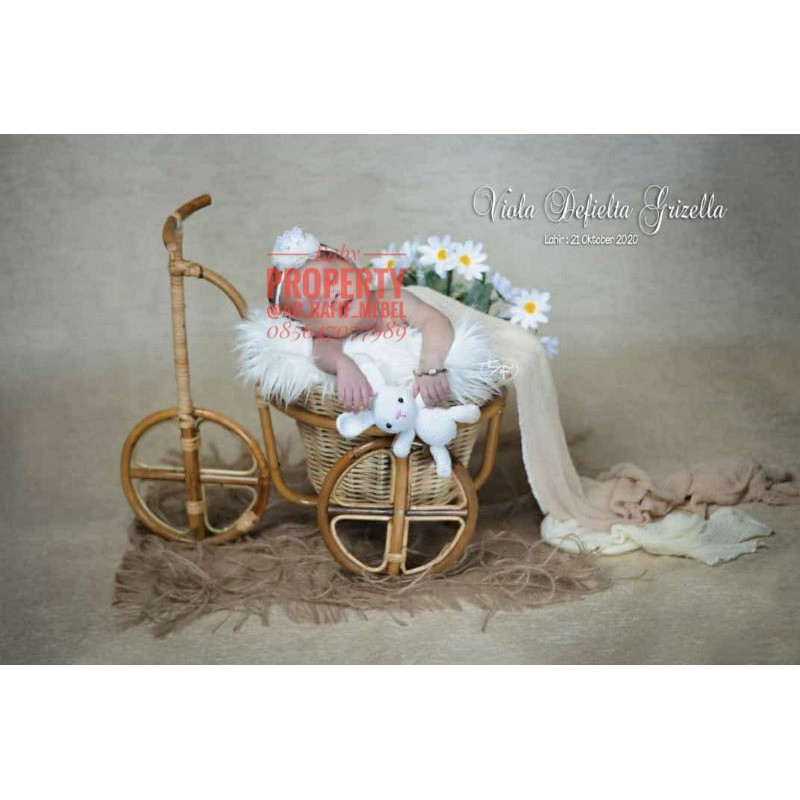 Baby property rattan / foto property bayi / baby property newborn / baby property photography