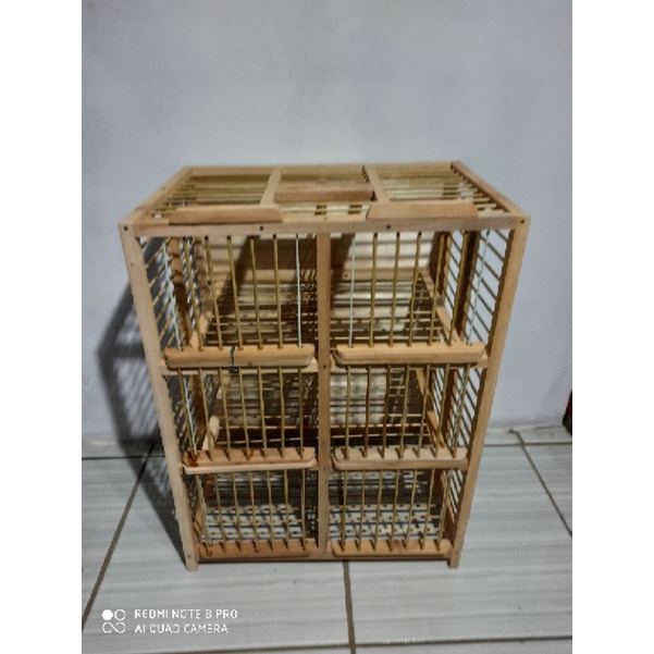 DONGDANG LEPAS MERPATI 6 PINTU JN_ DONGDANG KABUR KANDANG LEPAS DONGDANG BAMBU
