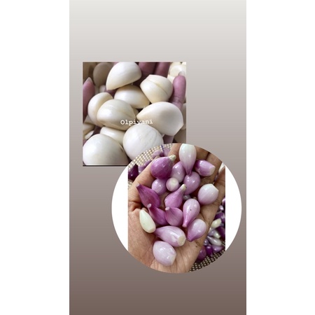 Bawang merah ,Putih kupas 250gram