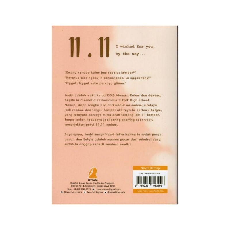 NOVEL 11.11 I WISHED FPR YOU, BY THE WAY