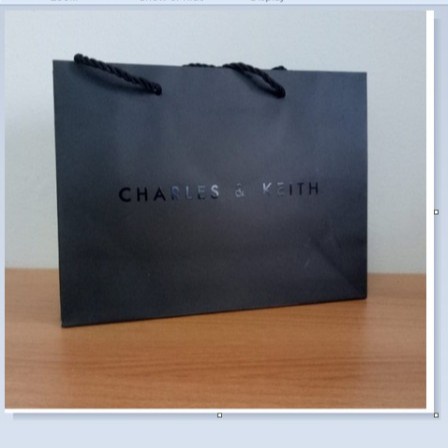 PAPERBAG CHARLESS AND KEITH/CNK #11752