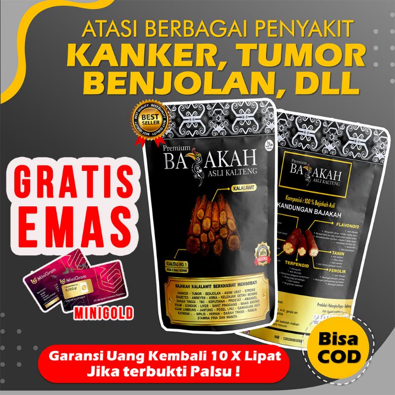 

AKAR KAYU BAJAKAH KALALAWIT KUALITAS PREMIUM ASLI KALTENG