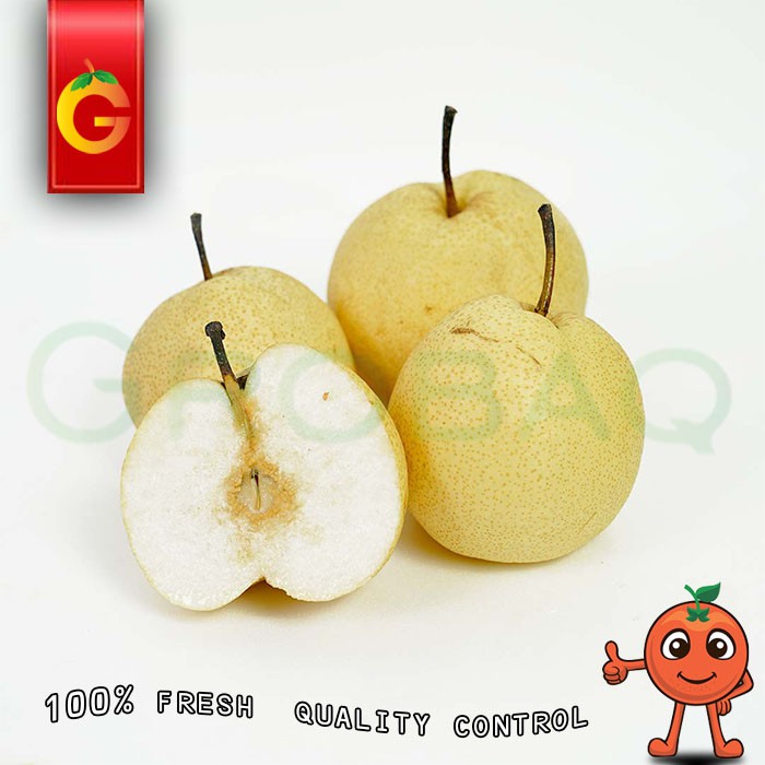 

HARGA SPESIAL - BUAH PEAR SWEET FRESH 3 KG