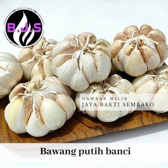 

TERBARU BAWANG PUTIH HONAN/BANCI 500GR STOK TERBATAS