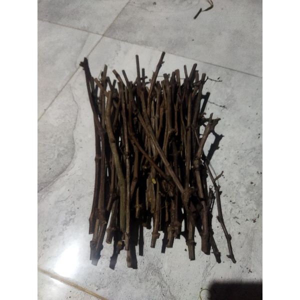 cutting anggur red master