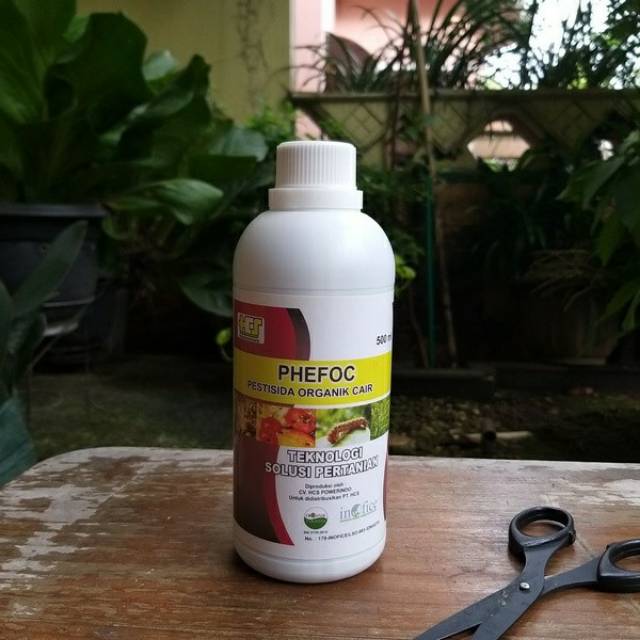 PHEFOC HCS || Obat Anti Hama || Pestisida Organik Cair