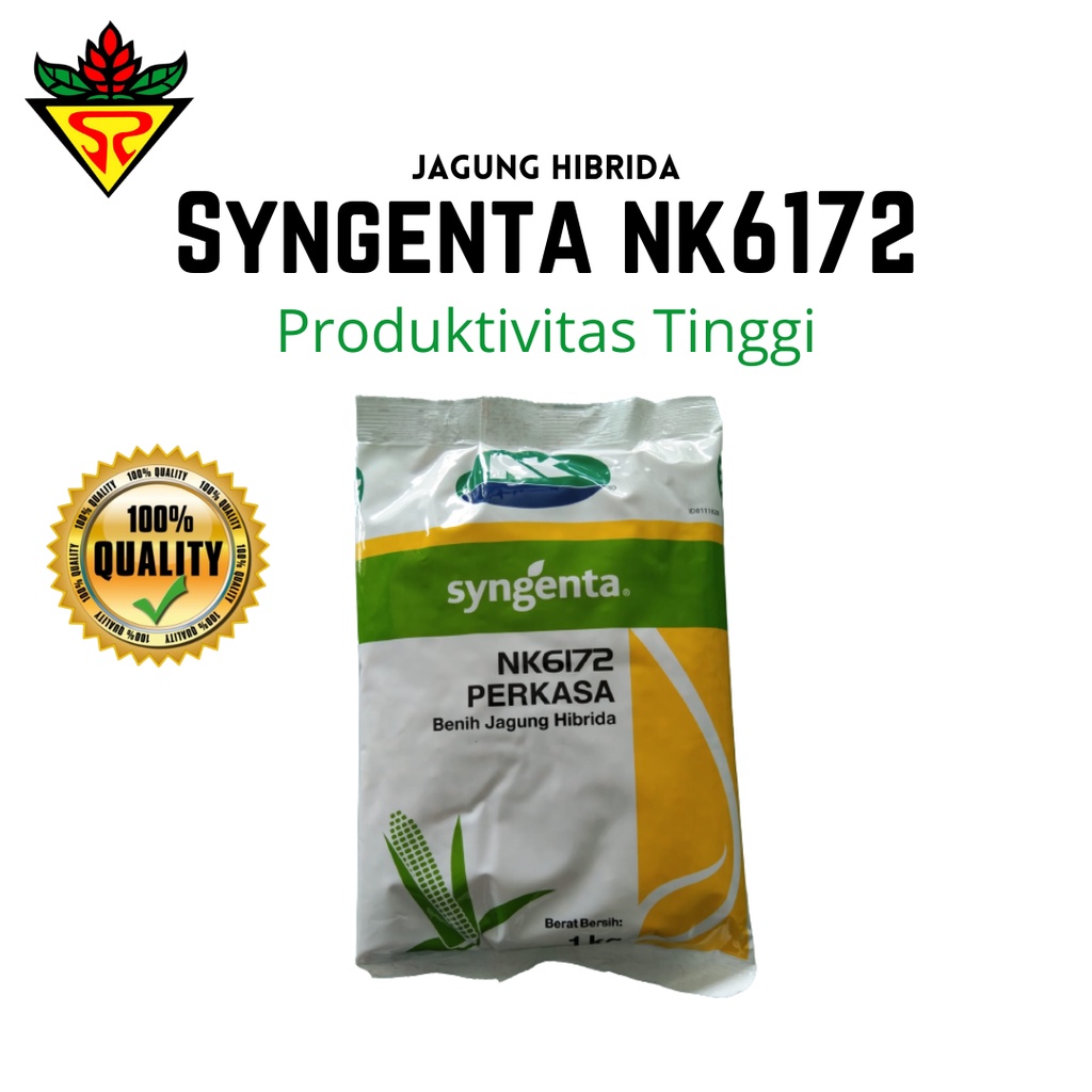 Benih Bibit Jagung Hibrida Nk Perkasa Sygenta 6172 - 1kg | Tahan Bulai