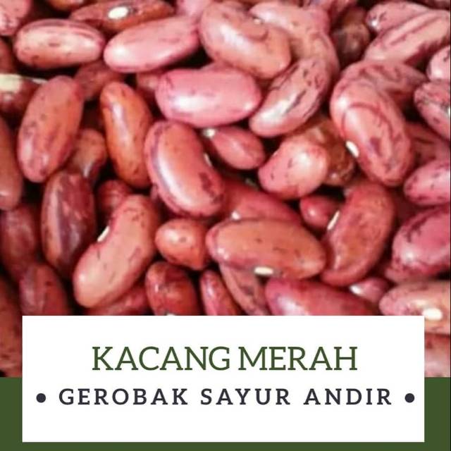 

Kacang Merah /500gr
