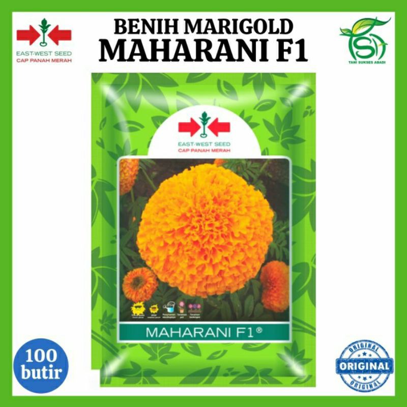 Benih Marigold MAHARANI F1 (100 Butir) - Bibit Bunga Cap Panah Merah
