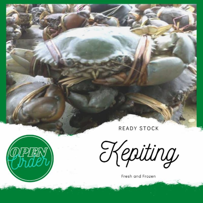 

KEPITING BAKAU SEGAR