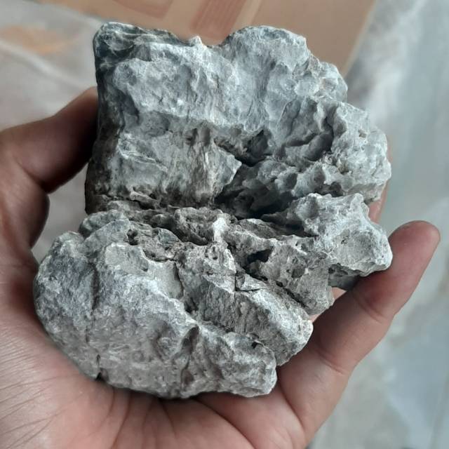 diniosyana