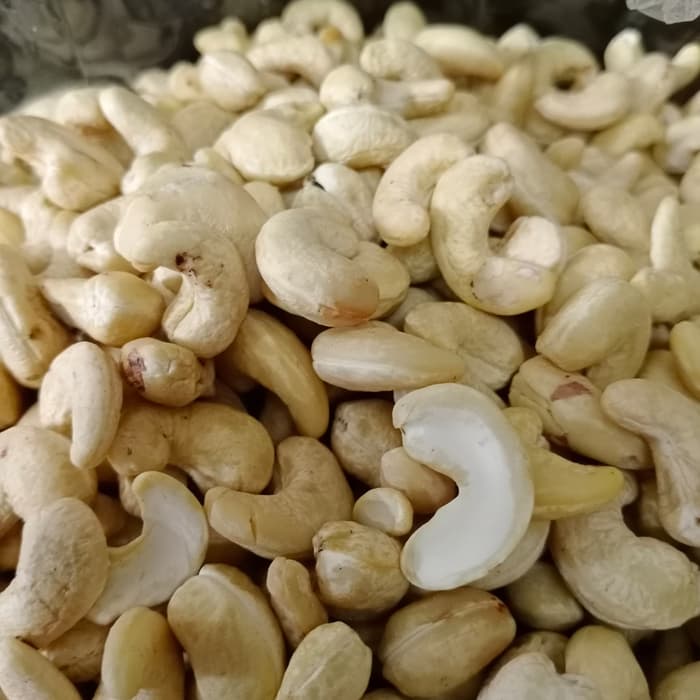 

KACANG MEDE MENTAH SUPER 1KG