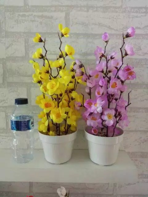 Sakura Pot Plastik D 10cm