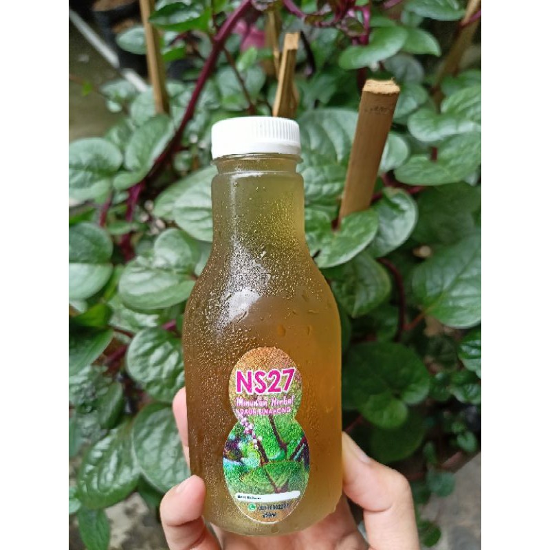 

Minuman Herbal Daun Binahong/Heartleaf