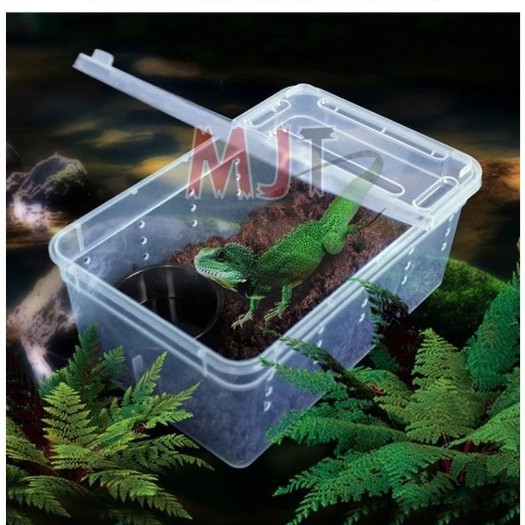 Kandang Tarantula Enclosure Tarantula Box Reptil  Gecko BD Iguana S 19x12.5x7.5cm Nomoy H3