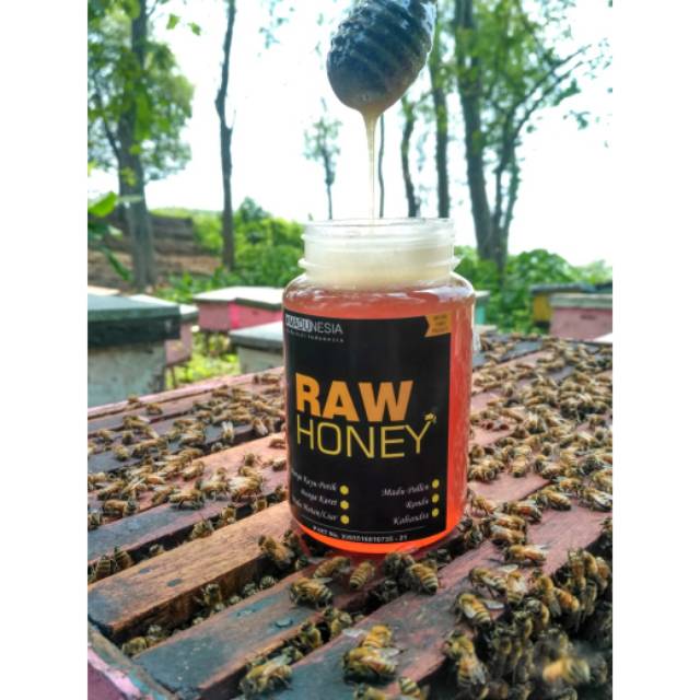 

Madu asli murni RANDU dari sarang lebah 100% by Madunesia
