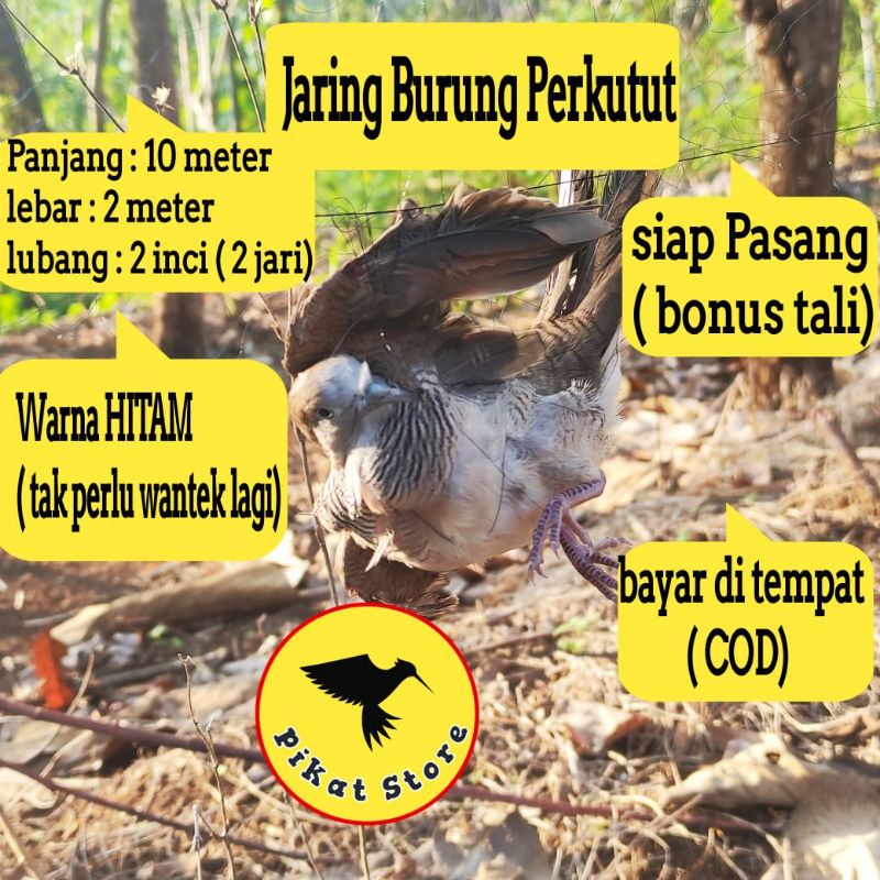 JARING BURUNG PERKUTUT panjang 10m lebar 2,5m lubang 2 1/4inch (3 jari).