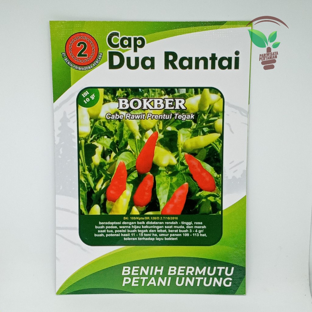 Benih bibit PRENTUL cabe rawit putih Bokber 10 grm