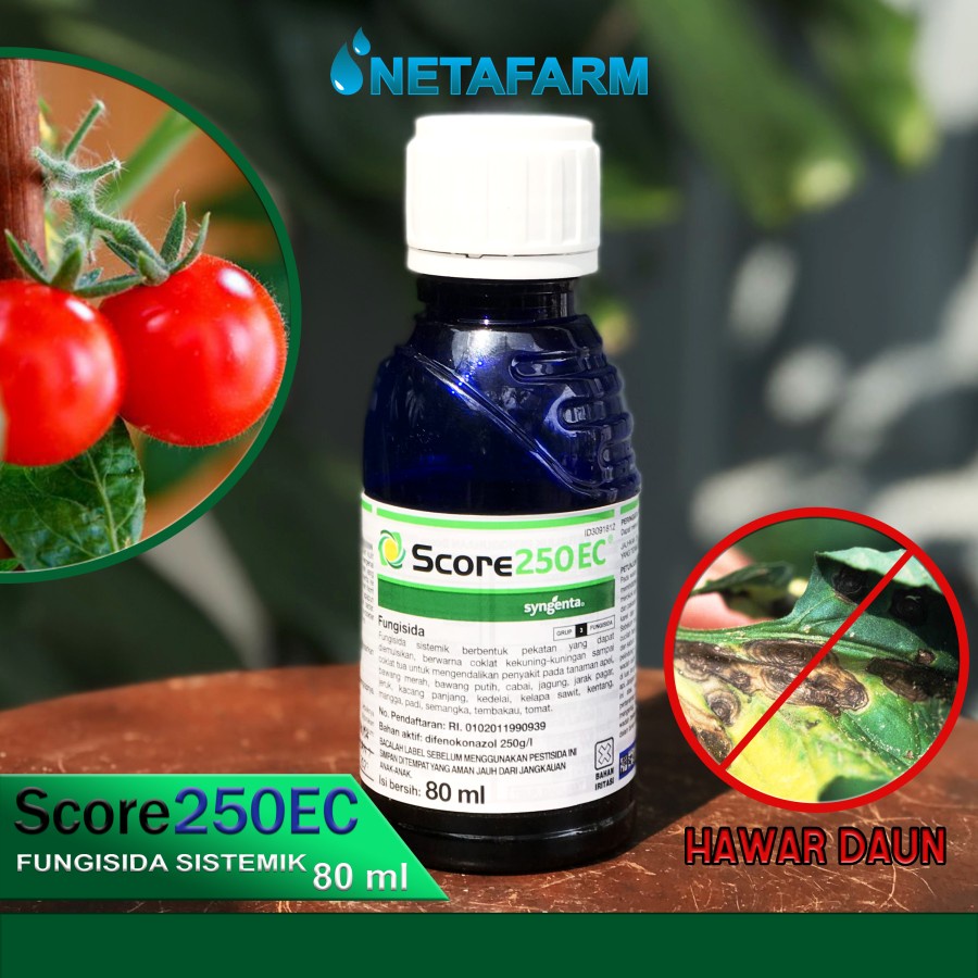 Pestisida Fungisida Sistemk SCORE 250EC Syngenta 80ml