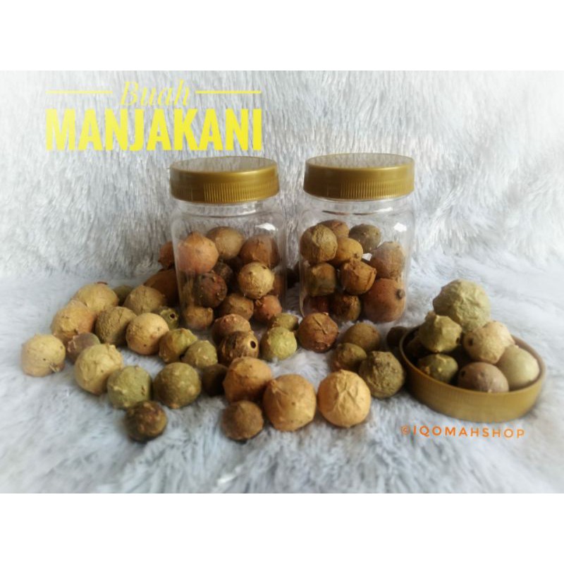 

Buah Manjakani isi 20 butir