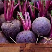 

Buah Kualitas Premium ( Beetroot ) Kemasan 200 Gram - 300 kg